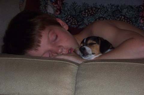 sleeping boy on couch with puppy